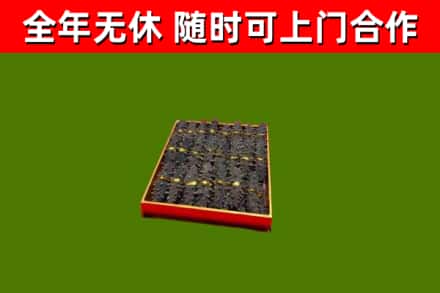 儋州市回收海参